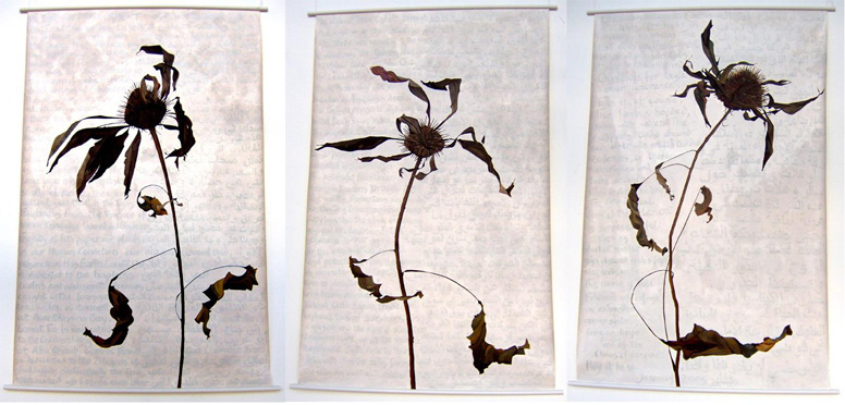 In The Garden: Lament 